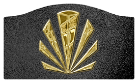 DASHELL-602-GD-SH-BK Gold Sunburst Shimmer Black Background